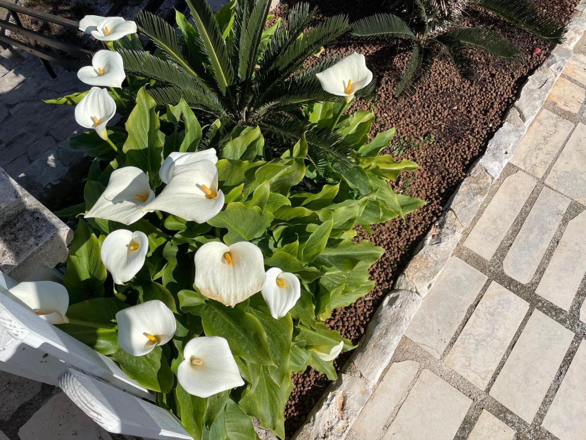B&B Donna Luisa Monopoli Zewnętrze zdjęcie